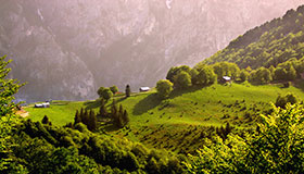 kosova