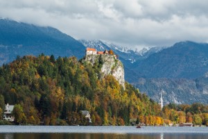 bled
