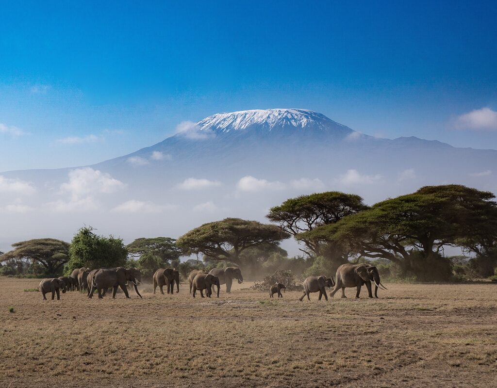 5 Top Atraksionet e Kenias