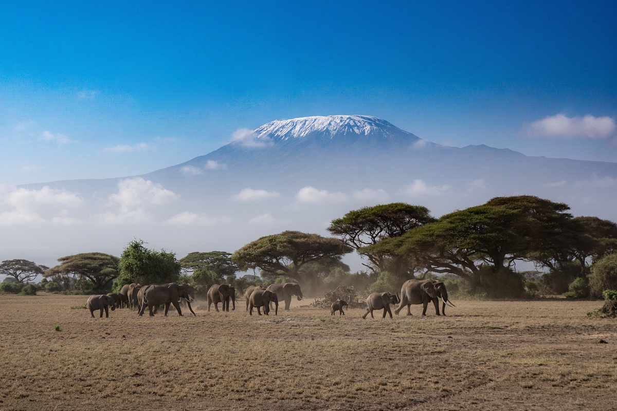 5 Top Atraksionet e Kenias