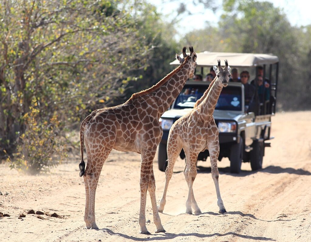 Çfarë të Vizitosh në Kenia