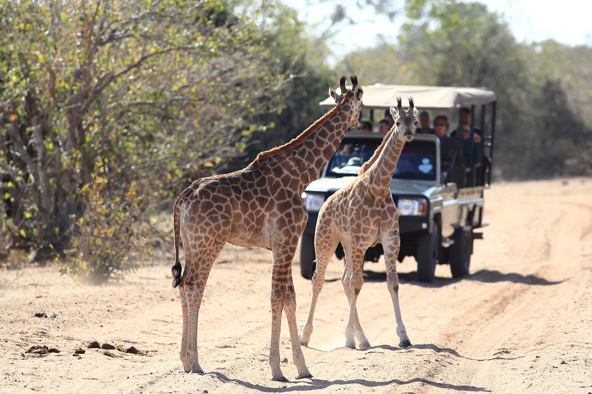 Çfarë të Vizitosh në Kenia