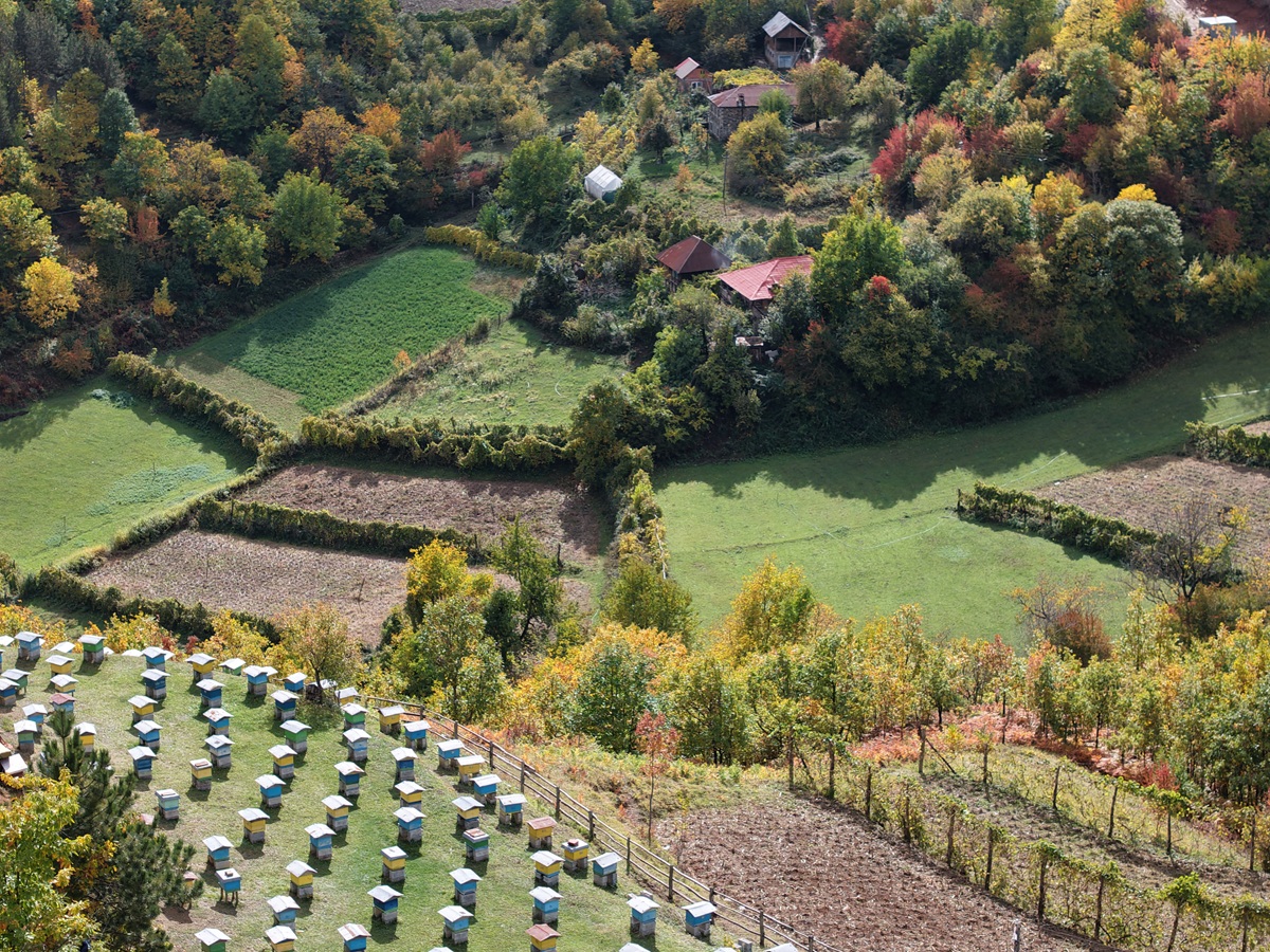 Ekskursion 1-ditor në Pukë