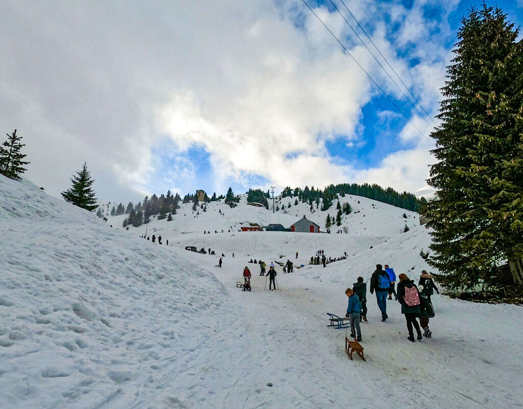 Ekskursion në Malin e Sharrit