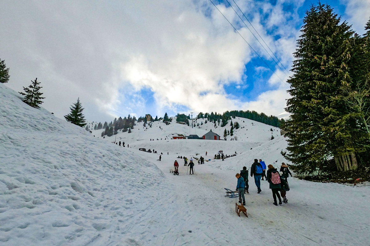 Ekskursion në Malin e Sharrit