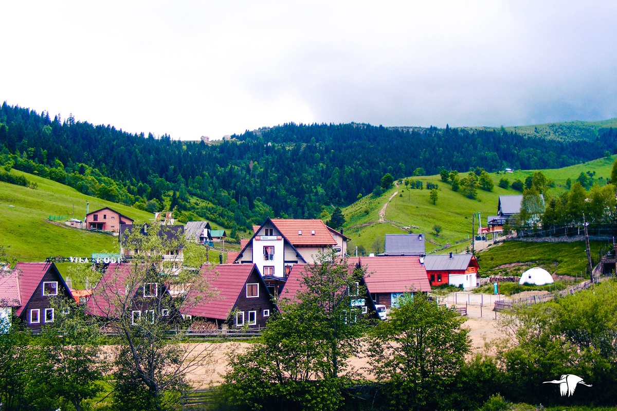 Ekskursion në Razëm