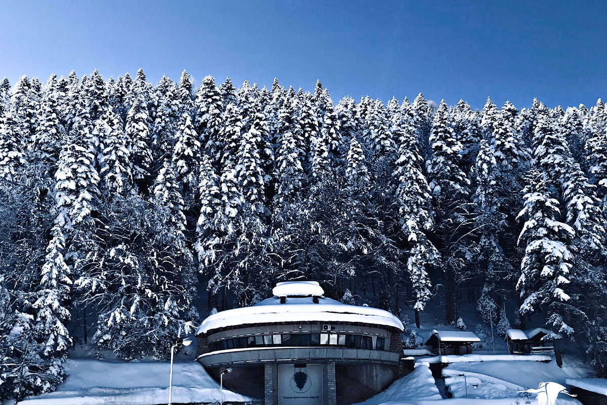 Guide Turistike në Mavrovo