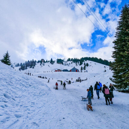 Udhëtim në Malin e Sharrit